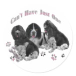LANDSEER NEWFOUNDLAND CAN'T HAVE JUST ONE ROUND STICKER