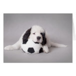 Landseer puppy greeting cards