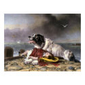 Landseer Saved posters