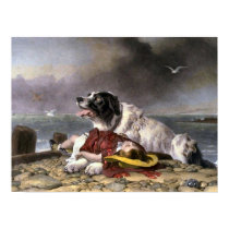Landseer Saved posters