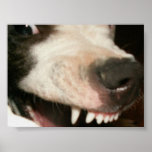 landshark poster
