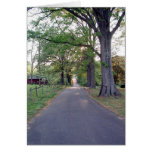 Lane in Spencer NC