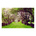 lane of dogwoods posters