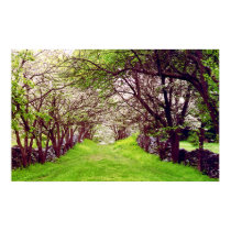 lane of dogwoods posters