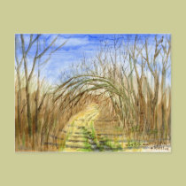 "Lane with Arched Branches" watercolor landscape postcards