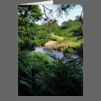 Langsett Reservoir cards