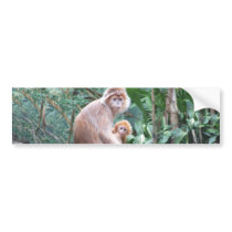Langur Monkey Mother & Baby Bumper Stickers