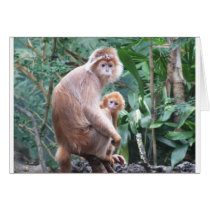 Langur Monkey Mother & Baby Greeting Cards