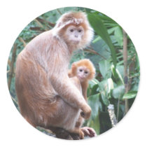 Langur Monkey Mother & Baby Stickers