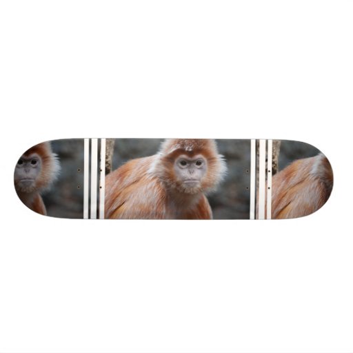 Langur  Skateboard