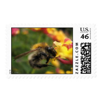 Lantana camara postage stamps