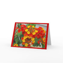 Lantana Greeting Cards