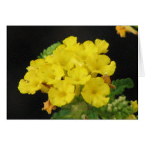 Lantana Greeting Cards