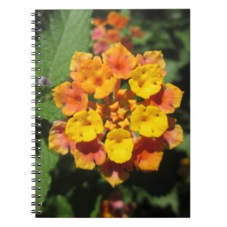 Lantana Desert Flower Spiral Note Book
