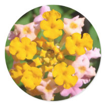 Lantana Flower with Ant Visitor Sticker by MyBackyard Lantana Flower with Ant Visitor Sticker