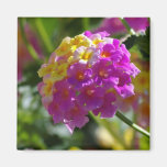 Lantana Fridge Magnet
