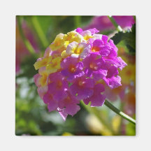 Lantana Fridge Magnet