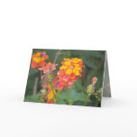 Lantana Greeting Card