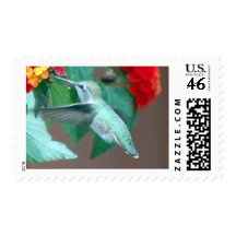 Lantana III Stamp