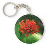 Lantana Keychains