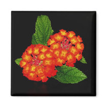 Lantana magnets by princessklb07 Lantana magnets