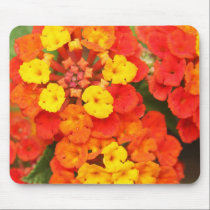 Lantana mousepads