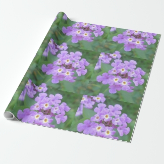 Lantana Plant Purple Floral