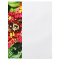 Lantanas and the Bee Flyer
