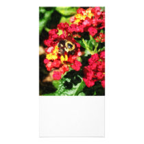 Lantanas and the Bee Photo Greeting Card