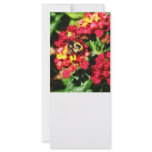 Lantanas and the Bee Customized Rack Card