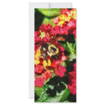 Lantanas and the Bee Rack Cards