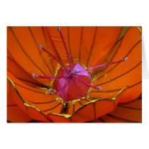 Lantern Flower at Taipei Lantern Festival 2012 cards