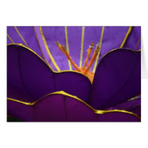 Lantern Flower at Taipei Lantern Festival 2012 cards