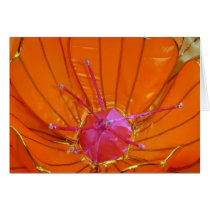Lantern Flower at Taipei Lantern Festival 2012 cards