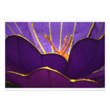 Lantern Flower at Taipei Lantern Festival 2012 Custom Announcement