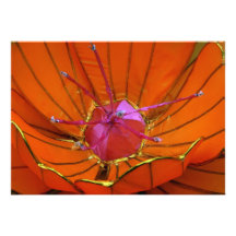Lantern Flower at Taipei Lantern Festival 2012 Personalized Invite