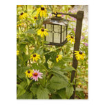 Lantern in the Flowers Post Card