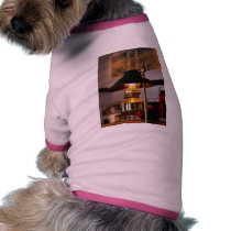 Lantern Lamp Fire pet clothing by lifesphere Lantern Lamp Fire pet clothing