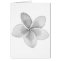 LAO FLOWER DOK CHAMPA - PLUMERIA cards