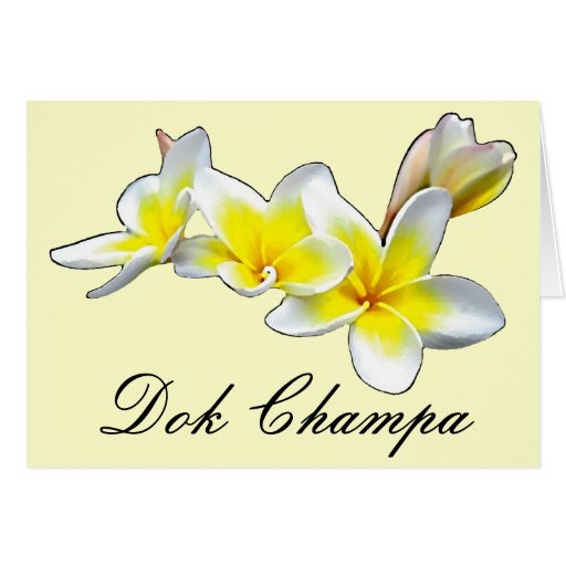 LAO FLOWER DOK CHAMPA - PLUMERIA RUBRA CARD | Zazzle