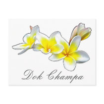 LAO FLOWER DOK CHAMPA - PLUMERIA RUBRA postcards