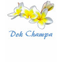 LAO FLOWER DOK CHAMPA - PLUMERIA RUBRA t-shirts