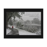 Lao Tzu Quote II Postcards