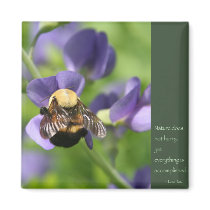 Lao Tzu Words of Wisdom magnets by livingzen Lao Tzu Words of Wisdom magnets