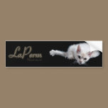 LaPerm cat bumper sticker bumper stickers