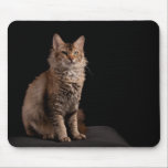LaPerm cat Mousepad mousepads