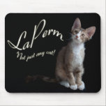 LaPerm cat mousepad mousepads