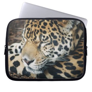 laptop sleeves - leopard sleeping electronicsbag