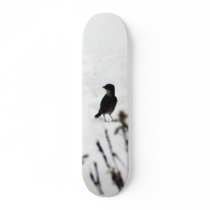 Lapwing skateboards