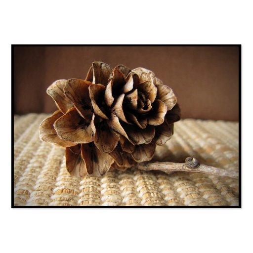 Larch Cone ATC Business Card Template